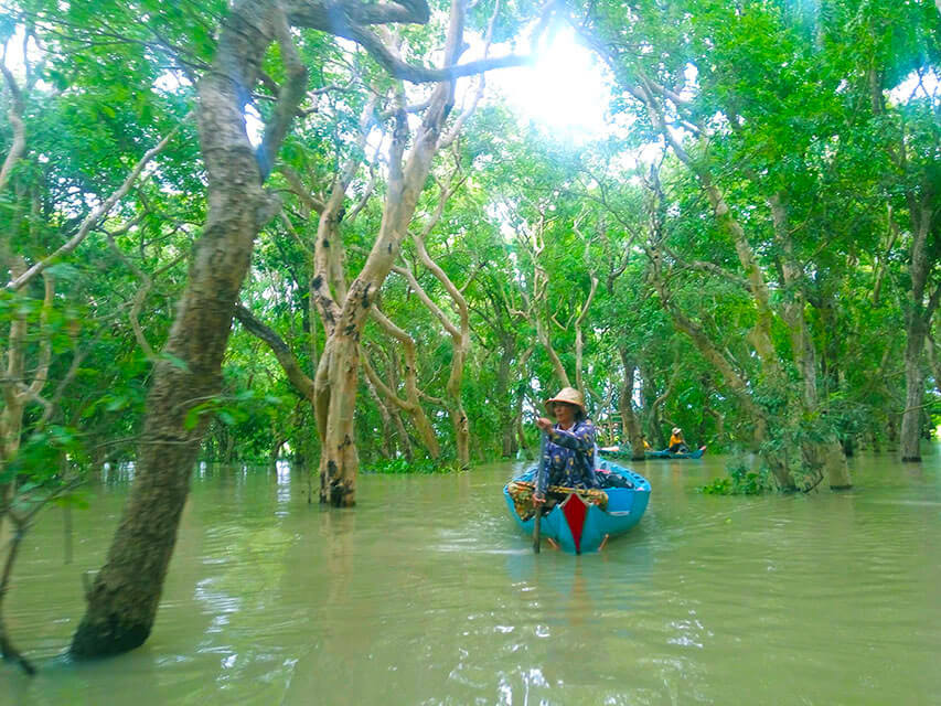 Kampong Phluk Mangrove forest